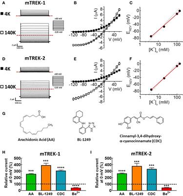 Spadin Selectively Antagonizes Arachidonic Acid Activation of TREK-1 Channels